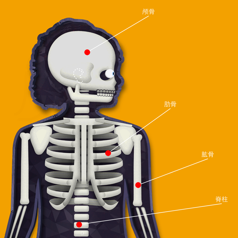 skeleton with labels
