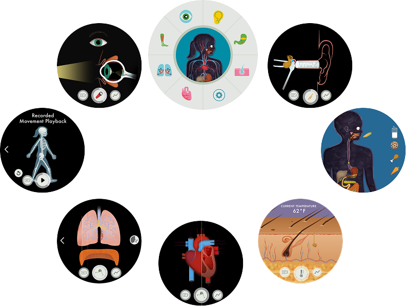 Screens from Human Body Lab: the systems menu, eye, ear, digestion, skin, heart, lungs and skeleton