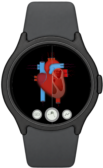 The heart in Human Body Lab on a WearOS watch