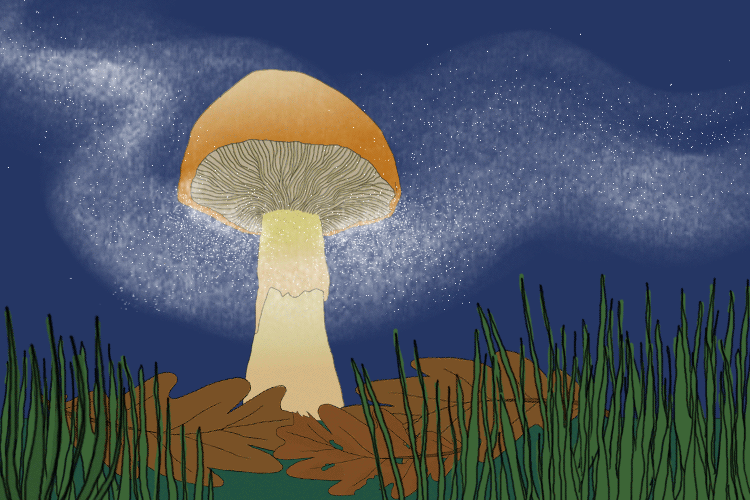 bonus-curios-micro-winds-of-mushrooms-hero